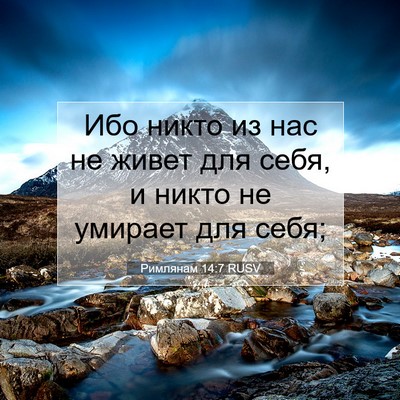 Picture 07 - Римлянам 14:7 RUSV - Ибо никто из нас не живет - Bible Verse Picture