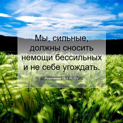 Picture 07 - Римлянам 15:1 RUSV - Мы, сильные, должны сносить - Bible Verse Picture