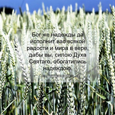Picture 07 - Римлянам 15:13 RUSV - Бог же надежды да исполнит - Bible Verse Picture