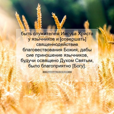 Picture 07 - Римлянам 15:16 RUSV - быть служителем Иисуса - Bible Verse Picture