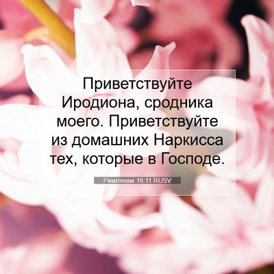 Picture 07 - Римлянам 16:11 RUSV - Приветствуйте Иродиона, - Bible Verse Picture