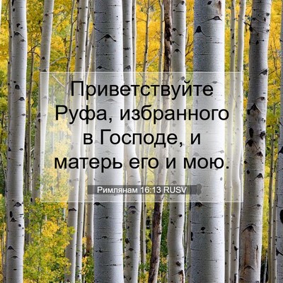 Picture 07 - Римлянам 16:13 RUSV - Приветствуйте Руфа, - Bible Verse Picture