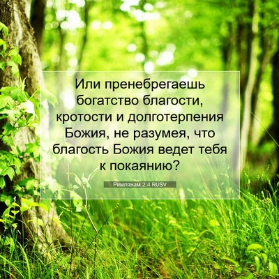 Picture 07 - Римлянам 2:4 RUSV - Или пренебрегаешь - Bible Verse Picture
