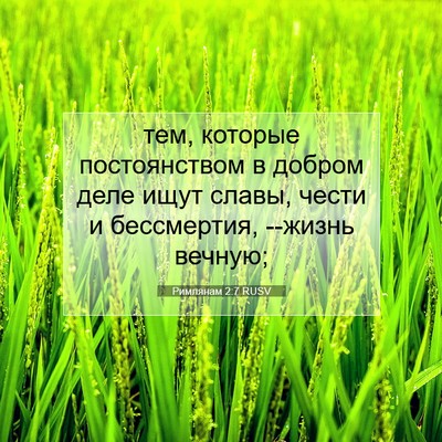 Picture 07 - Римлянам 2:7 RUSV - тем, которые постоянством - Bible Verse Picture