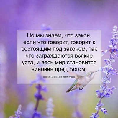 Picture 07 - Римлянам 3:19 RUSV - Но мы знаем, что закон, если - Bible Verse Picture