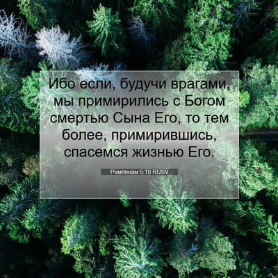 Picture 07 - Римлянам 5:10 RUSV - Ибо если, будучи врагами, - Bible Verse Picture