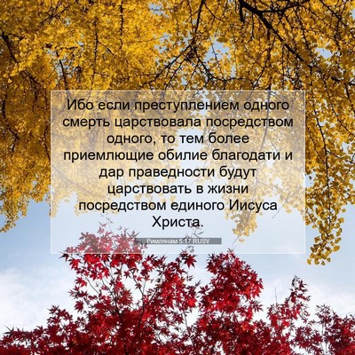Picture 07 - Римлянам 5:17 RUSV - Ибо если преступлением - Bible Verse Picture