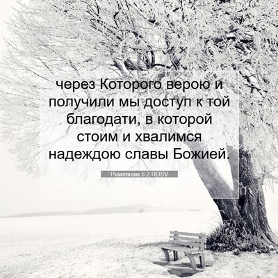 Picture 07 - Римлянам 5:2 RUSV - через Которого верою и - Bible Verse Picture