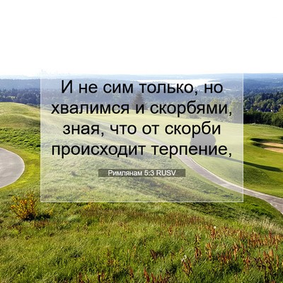 Picture 07 - Римлянам 5:3 RUSV - И не сим только, но - Bible Verse Picture