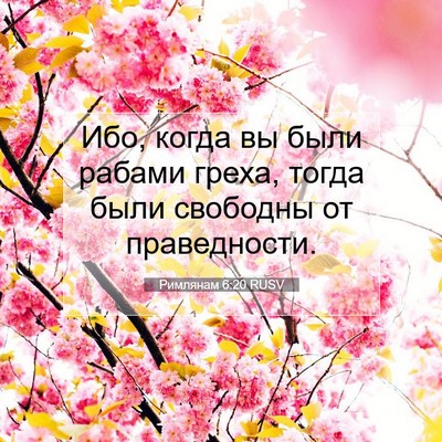 Picture 07 - Римлянам 6:20 RUSV - Ибо, когда вы были рабами - Bible Verse Picture