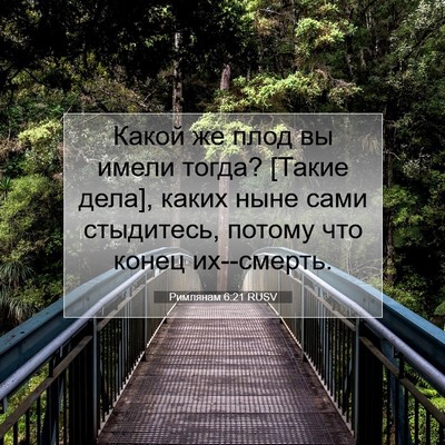 Picture 07 - Римлянам 6:21 RUSV - Какой же плод вы имели - Bible Verse Picture