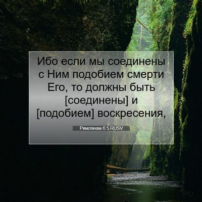 Picture 07 - Римлянам 6:5 RUSV - Ибо если мы соединены с Ним - Bible Verse Picture