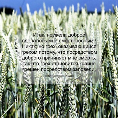 Picture 07 - Римлянам 7:13 RUSV - Итак, неужели доброе - Bible Verse Picture