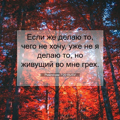 Picture 07 - Римлянам 7:20 RUSV - Если же делаю то, чего не - Bible Verse Picture