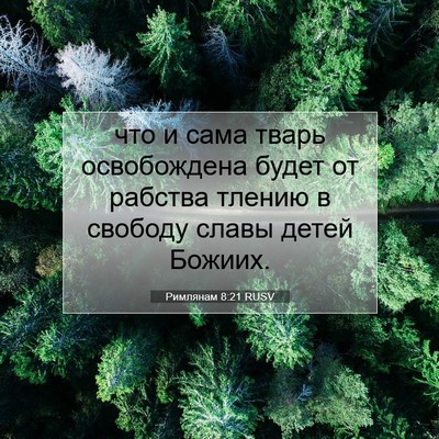 Picture 07 - Римлянам 8:21 RUSV - что и сама тварь - Bible Verse Picture