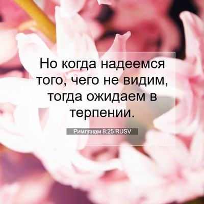 Picture 07 - Римлянам 8:25 RUSV - Но когда надеемся того, - Bible Verse Picture