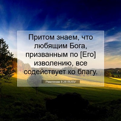 Picture 07 - Римлянам 8:28 RUSV - Притом знаем, что любящим - Bible Verse Picture
