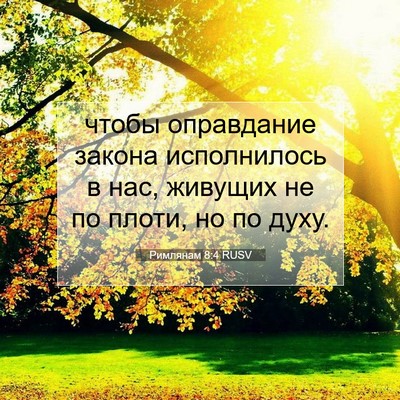 Picture 07 - Римлянам 8:4 RUSV - чтобы оправдание закона - Bible Verse Picture