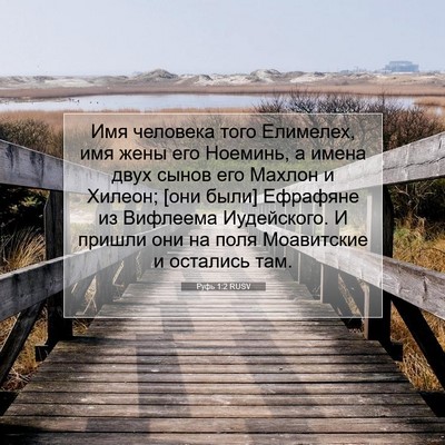 Picture 07 - Руфь 1:2 RUSV - Имя человека того - Bible Verse Picture