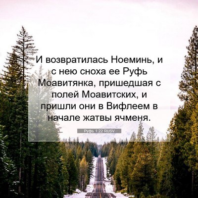 Picture 07 - Руфь 1:22 RUSV - И возвратилась Ноеминь, и с - Bible Verse Picture