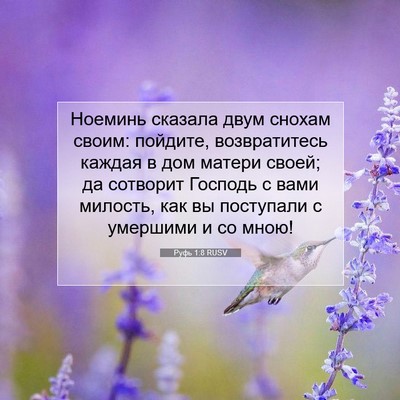 Picture 07 - Руфь 1:8 RUSV - Ноеминь сказала двум - Bible Verse Picture