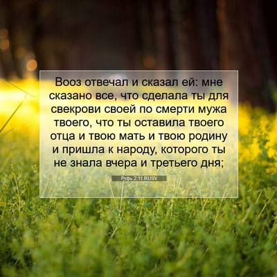 Picture 07 - Руфь 2:11 RUSV - Вооз отвечал и сказал ей: - Bible Verse Picture