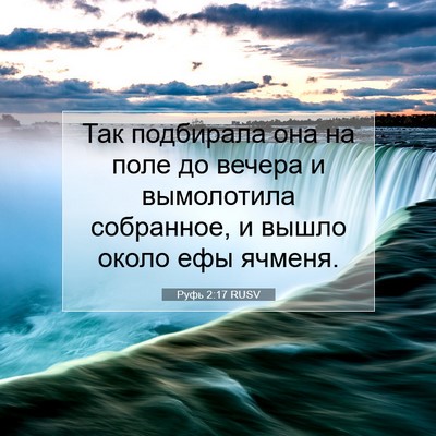 Picture 07 - Руфь 2:17 RUSV - Так подбирала она на поле - Bible Verse Picture