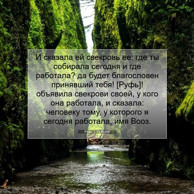 Picture 07 - Руфь 2:19 RUSV - И сказала ей свекровь ее: - Bible Verse Picture