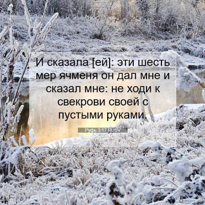 Picture 07 - Руфь 3:17 RUSV - И сказала [ей]: эти шесть - Bible Verse Picture