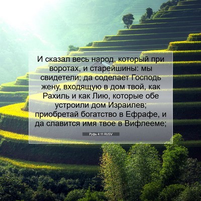 Picture 07 - Руфь 4:11 RUSV - И сказал весь народ, - Bible Verse Picture