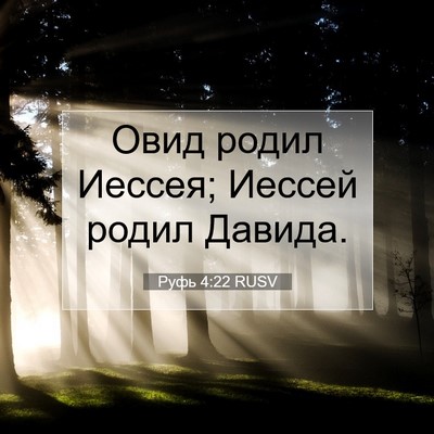 Picture 07 - Руфь 4:22 RUSV - Овид родил Иессея; Иессей - Bible Verse Picture