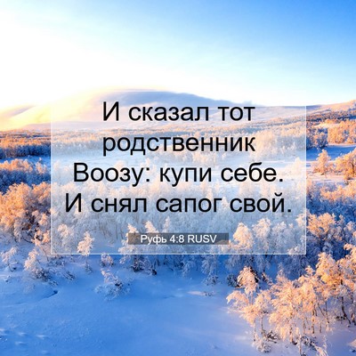 Picture 07 - Руфь 4:8 RUSV - И сказал тот родственник - Bible Verse Picture