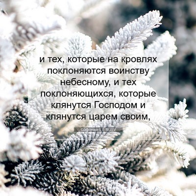 Picture 07 - Софония 1:5 RUSV - и тех, которые на кровлях - Bible Verse Picture