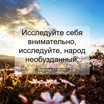 Picture 07 - Софония 2:1 RUSV - Исследуйте себя - Bible Verse Picture