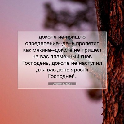 Picture 07 - Софония 2:2 RUSV - доколе не пришло - Bible Verse Picture