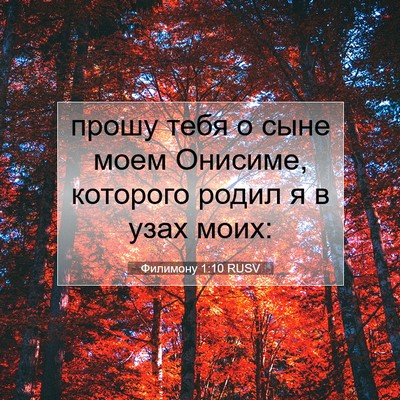 Picture 07 - Филимону 1:10 RUSV - прошу тебя о сыне моем - Bible Verse Picture