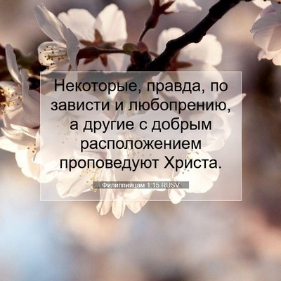 Picture 07 - Филиппийцам 1:15 RUSV - Некоторые, правда, по - Bible Verse Picture