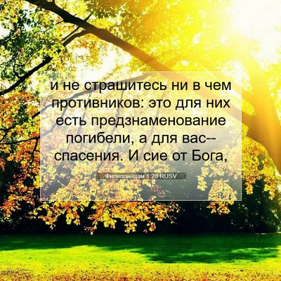 Picture 07 - Филиппийцам 1:28 RUSV - и не страшитесь ни в чем - Bible Verse Picture