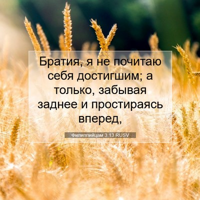 Picture 07 - Филиппийцам 3:13 RUSV - Братия, я не почитаю себя - Bible Verse Picture