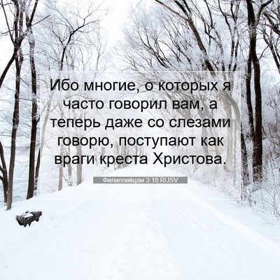 Picture 07 - Филиппийцам 3:18 RUSV - Ибо многие, о которых я - Bible Verse Picture