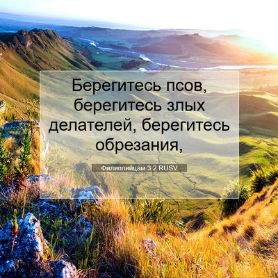Picture 07 - Филиппийцам 3:2 RUSV - Берегитесь псов, - Bible Verse Picture
