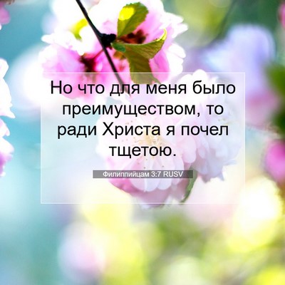 Picture 07 - Филиппийцам 3:7 RUSV - Но что для меня было - Bible Verse Picture