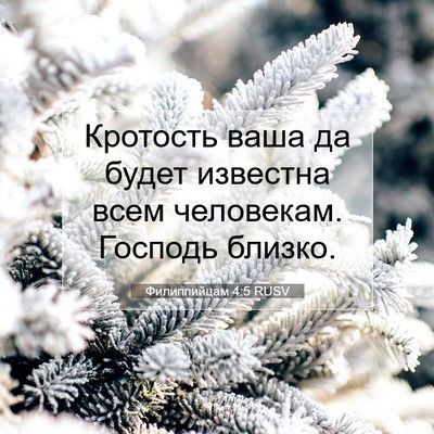 Picture 07 - Филиппийцам 4:5 RUSV - Кротость ваша да будет - Bible Verse Picture