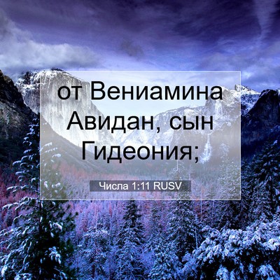 Picture 07 - Числа 1:11 RUSV - от Вениамина Авидан, сын - Bible Verse Picture