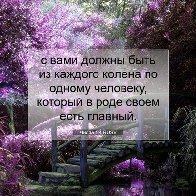 Picture 07 - Числа 1:4 RUSV - с вами должны быть из - Bible Verse Picture