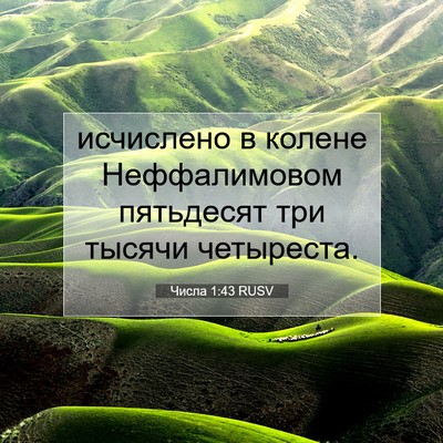 Picture 07 - Числа 1:43 RUSV - исчислено в колене - Bible Verse Picture