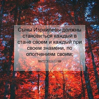 Picture 07 - Числа 1:52 RUSV - Сыны Израилевы должны - Bible Verse Picture