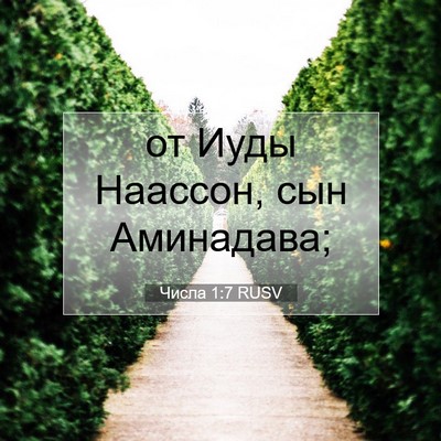 Picture 07 - Числа 1:7 RUSV - от Иуды Наассон, сын - Bible Verse Picture
