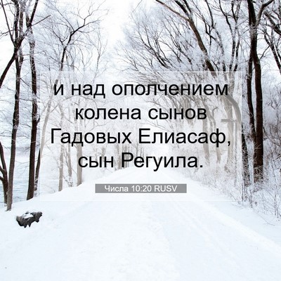 Picture 07 - Числа 10:20 RUSV - и над ополчением колена - Bible Verse Picture