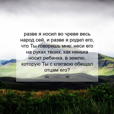 Picture 07 - Числа 11:12 RUSV - разве я носил во чреве весь - Bible Verse Picture